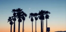 Новолуние: правила жизни